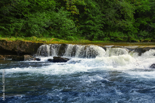Fototapeta Naklejka Na Ścianę i Meble -  Picturesque view of beautiful river flowing near forest