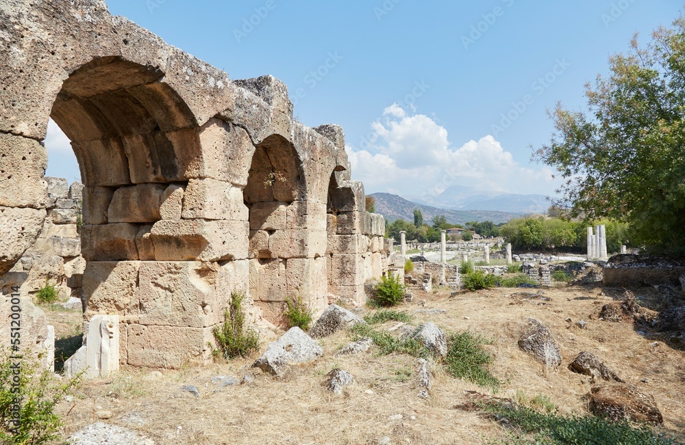 The Hadrianic Baths of Aphrodisias, Turkey