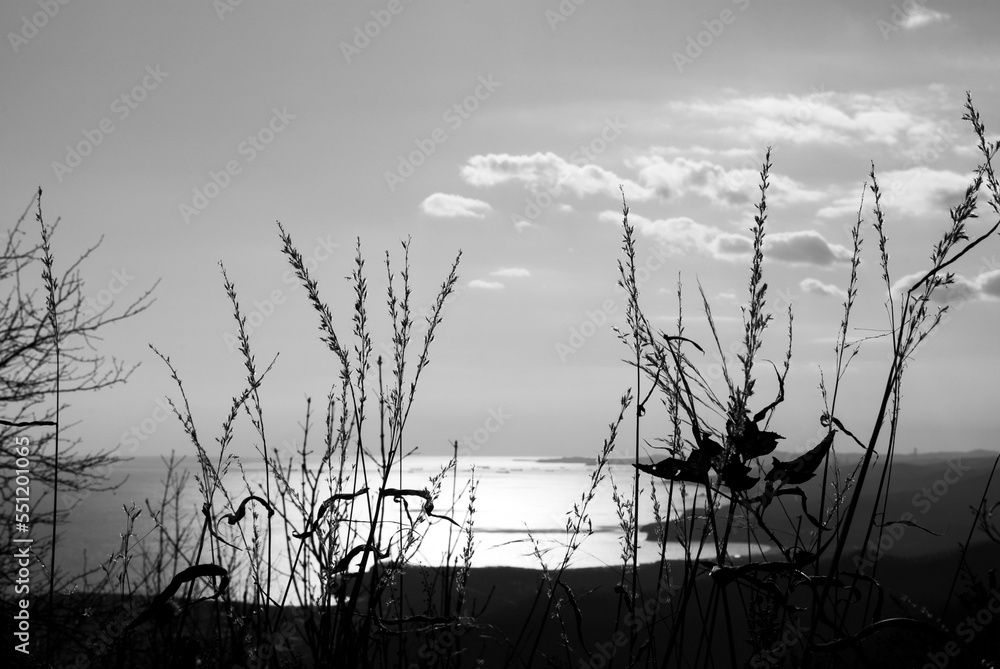 Fototapeta premium Beautiful view. Travel and recreation. Holidays by the sea.