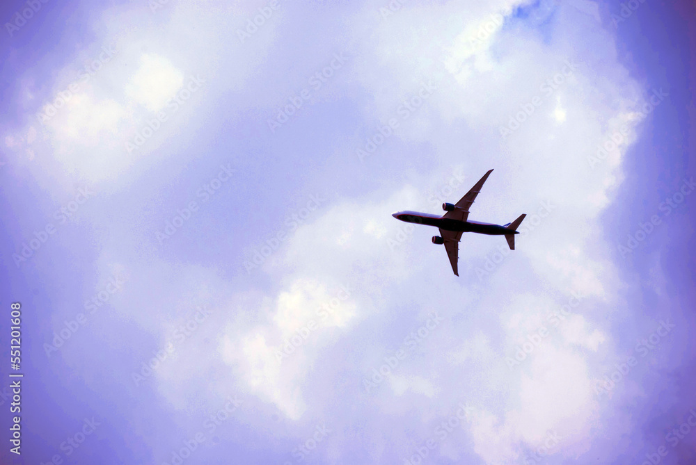 Fototapeta premium plane in the sky
