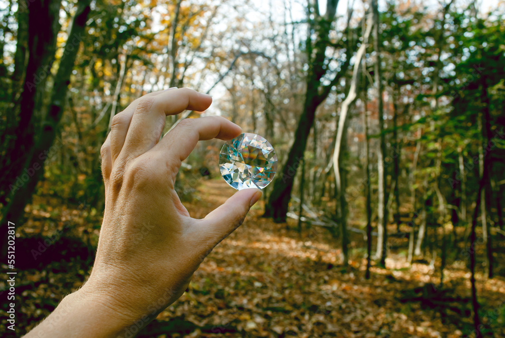   Selective focus. Diamond in the forest Treasure. Autumn background.