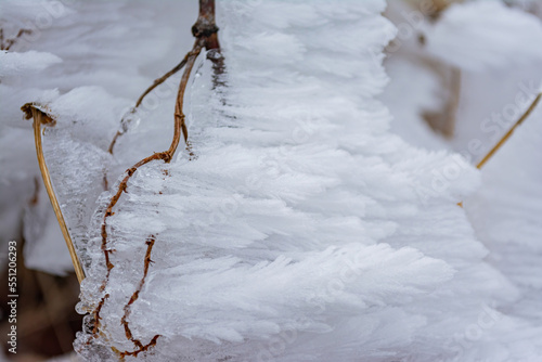 Snowy landscape of the Hehuanshan mountain photo