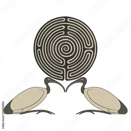 Symmetrical animal design with two ibises holding a round spiral maze or labyrinth symbol. Ancient Egyptian sacred bird. Creative concept. Mystery of old culture. Secret knowledge.