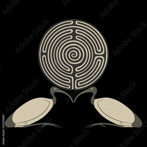 Symmetrical animal design with two ibises holding a round spiral maze or labyrinth symbol. Ancient Egyptian sacred bird. Creative concept. Mystery of old culture. Secret knowledge. On black background