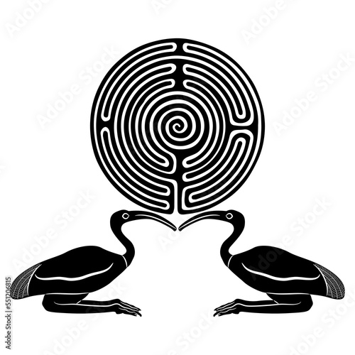 Symmetrical animal design with two ibises holding a round spiral maze or labyrinth symbol. Ancient Egyptian sacred bird. Mystery of old culture. Secret knowledge. Black and white silhouette.