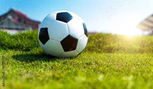 Single soccer football on the green grass © xy