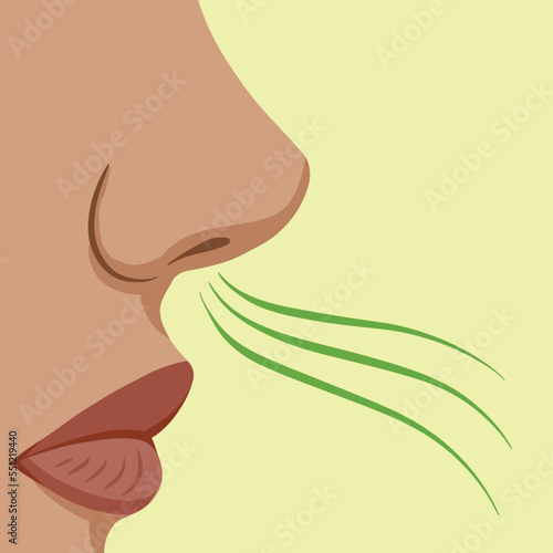 Women face from side, smelling something bad. Foul smell vector illustration. Nose and mouth drawing with breathing action. Cartoon flat art styled drawing isolated on light green background.