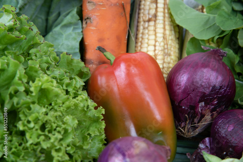Assorted vegetables on organic background