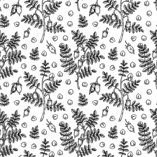 Hand drawn chickpeas seamless pattern. Vector illustration in sketch style
