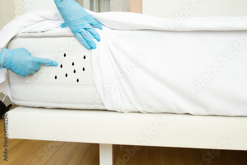 Obraz na plátne bed bugs, dust mites, disinfector shows insects on the mattress in the bedroom