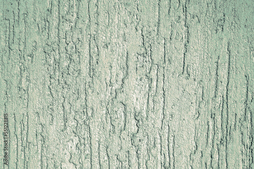 Painted putty wall as a background.Decorative putty bark beetle.