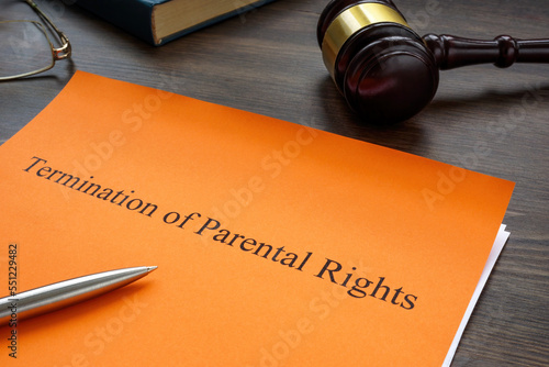 Картината върху платно Documents about Termination of parental rights in a court.