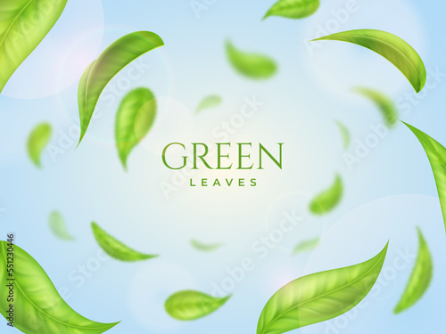 Green leaves, fresh realistic leaf round frame. Tea flying in air, eco clean backdrop, 3d environment, nature spring wind, ecology products decor. Foliage falling. Vector abstract background