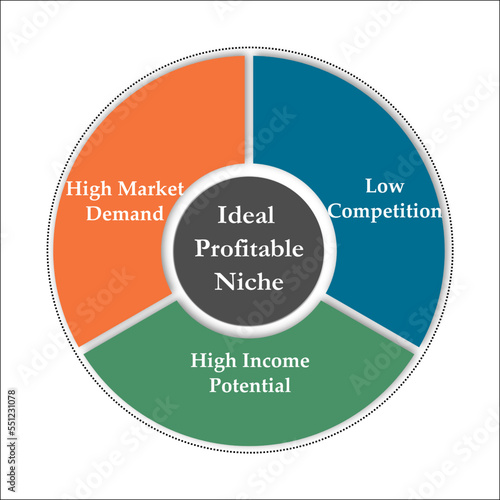 Three components of Ideal profitable Niche market strategy. Infographic template with icons