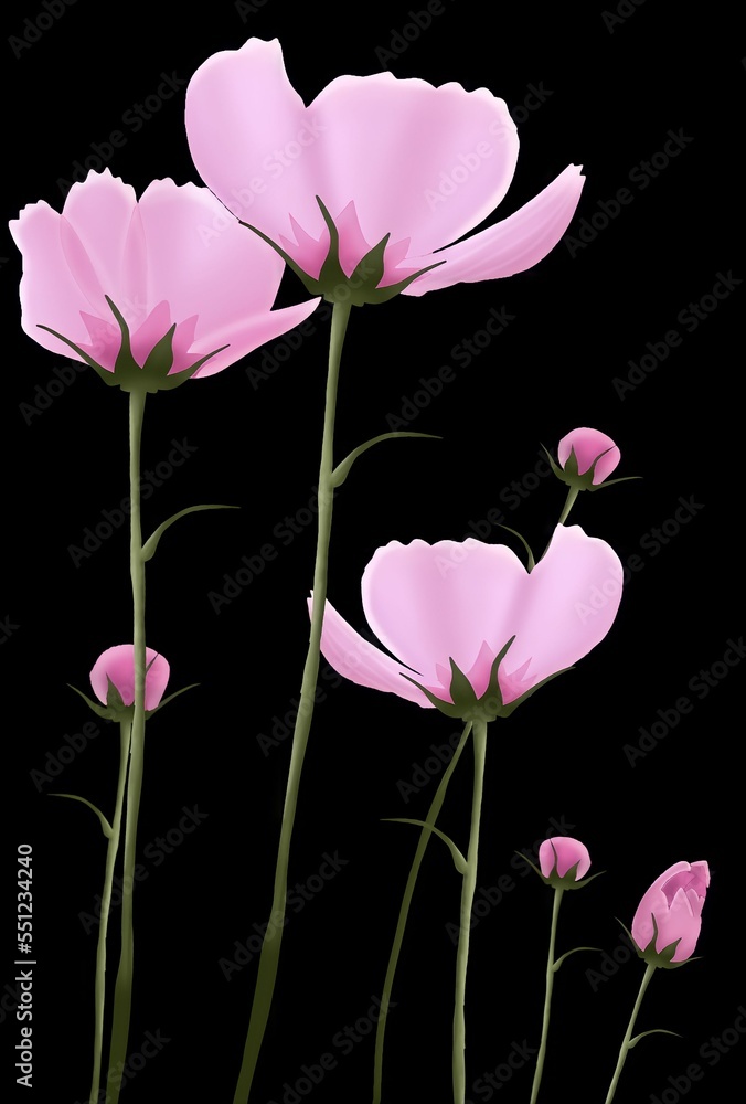 pink flower pink flower