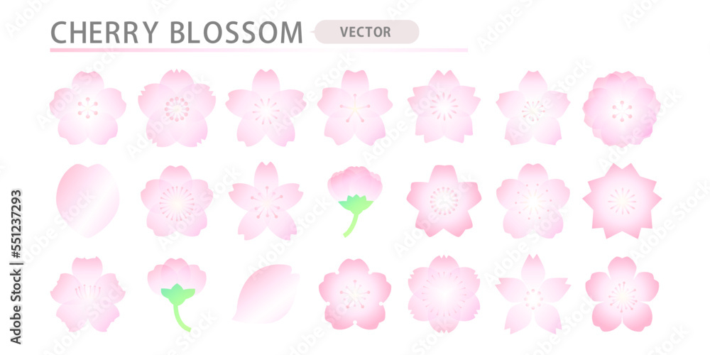 桜の花びらデザインセット グラデーション ベクター素材