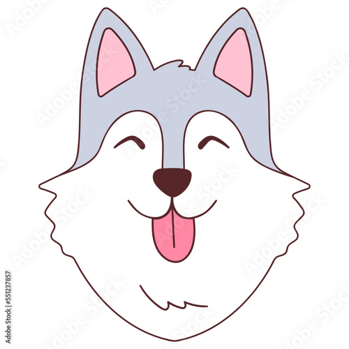 face siberian husky