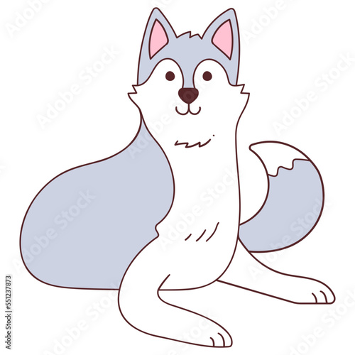 siberian husky cute