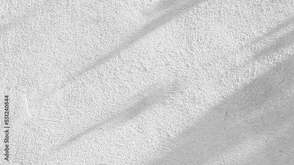 Black and White abstract background texture of shadows leaf on a concrete wall