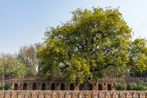 フマーユーン廟