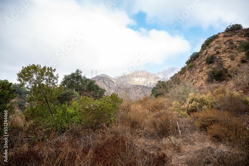 Landscape of Eaton Canyon hiking mountains trails with wild plants under gray sky photo