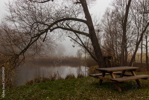 Rastplatz am Ufer des Biotopes in Gaaden  Nieder  sterreich