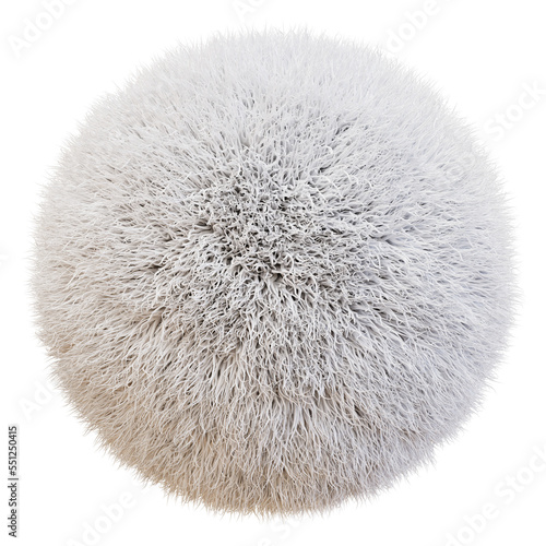 Foto White color Pom Pom fur isolated on PNG Transparent background