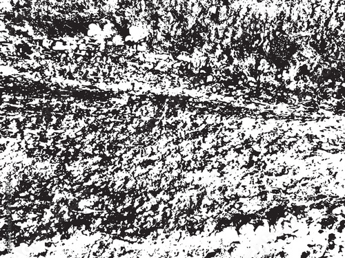 wet stone texture moss
