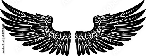 Pair of Spread Eagle or Angel Feather Wings