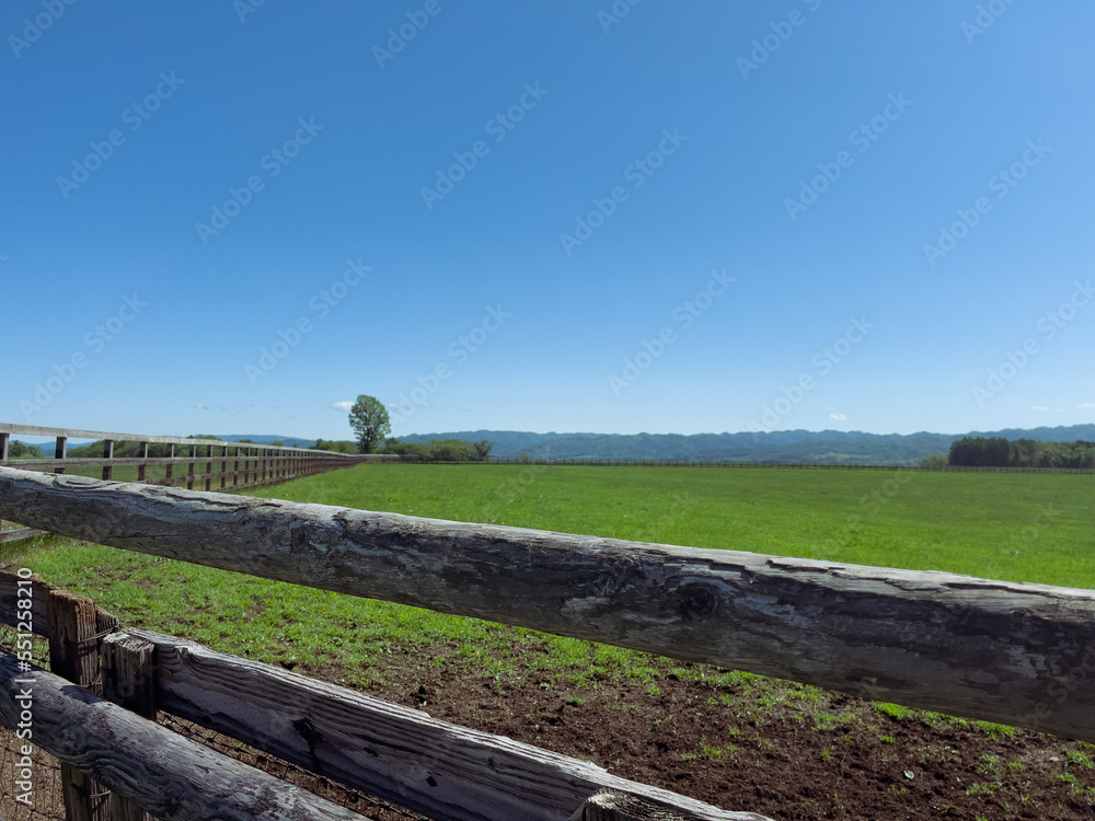 Scenery with farm fences and trees against the blue sky Scenery with farm fences and trees against the blue sky