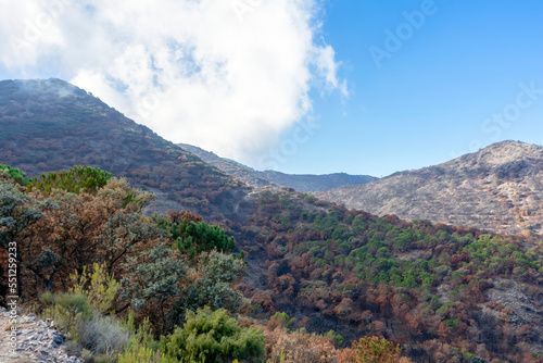 Fotografía Trail towards peak Mijas, Malaga