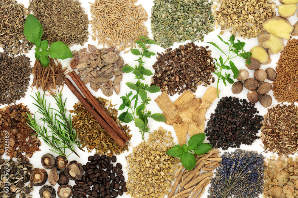 Nervine food herbal medicine. Large collection of herbs and foods to stimulate or relax the nervous system. Healthy natural adaptogen alternative health care plant medicine. On white. Nervine food herbal medicine. Large collection of herbs and foods to stimulate or relax the nervous system. Healthy natural adaptogen alternative health care plant medicine. On white.