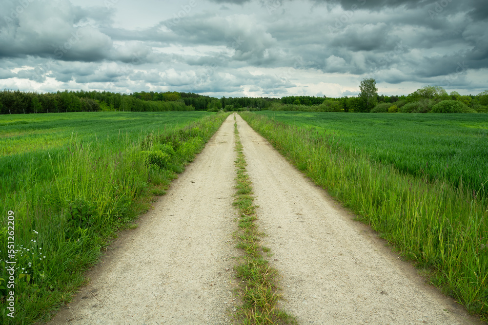 Dirt road through green fields and cloudy sky