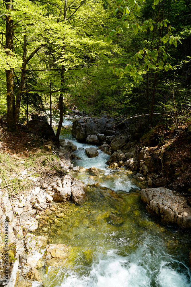 an emerald green brook (Steinacher Achen river) in Pfronten, Fallmuehle, in the Bavarian Alps of the Allgaeu region (Allgaeu, Bavaria, Germany)