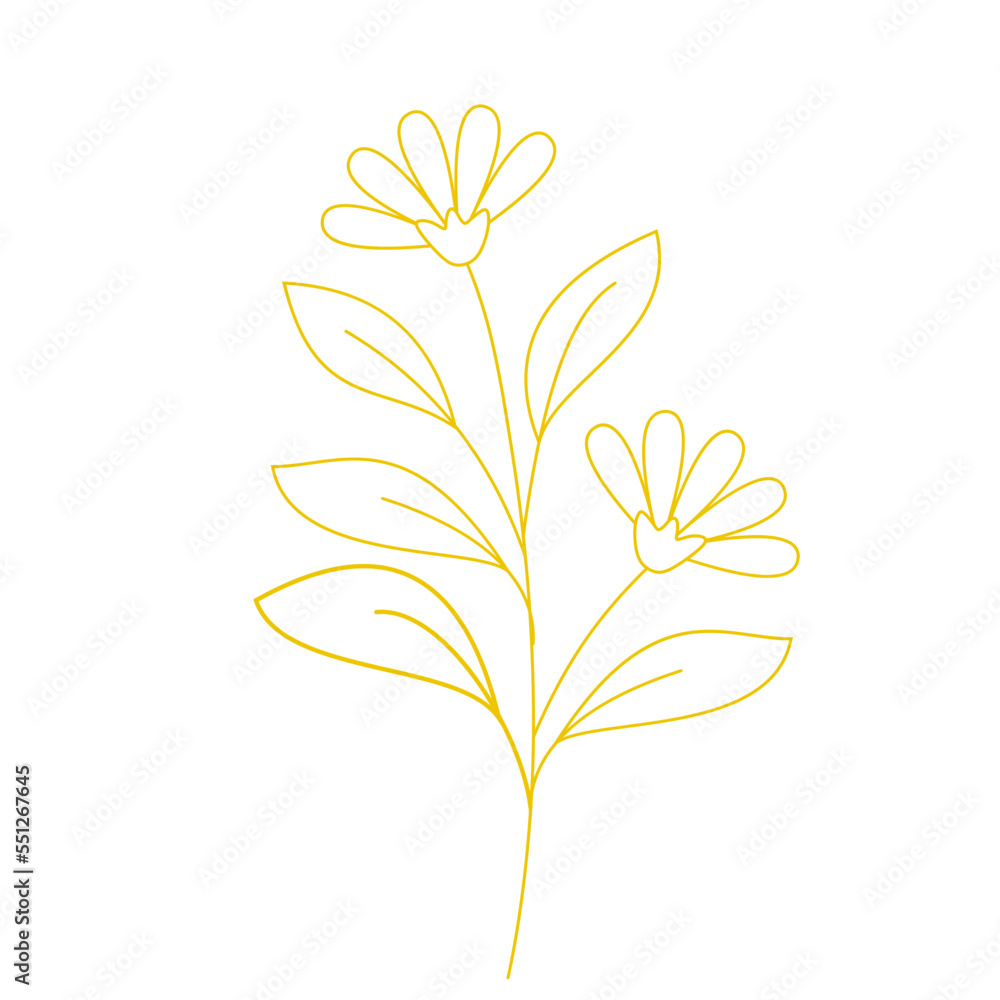 Floral Line Art Floral Line Art