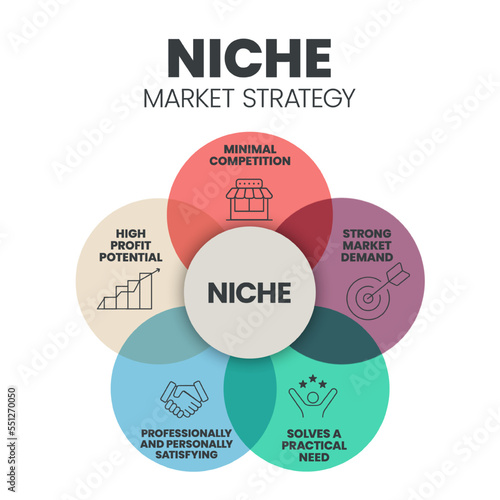 Niche Market Strategy infographic presentation template with icons such as competition, market demand, practical need, high profit potential, professionally and personally satisfying. Business Vector.