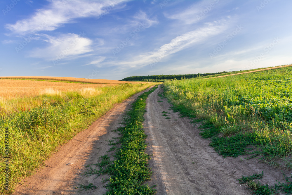 A field road between the slopes of the fields of agricultural crops A field road between the slopes of the fields of agricultural crops