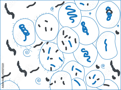 Lactobacillus icon, probiotics flat icon vector