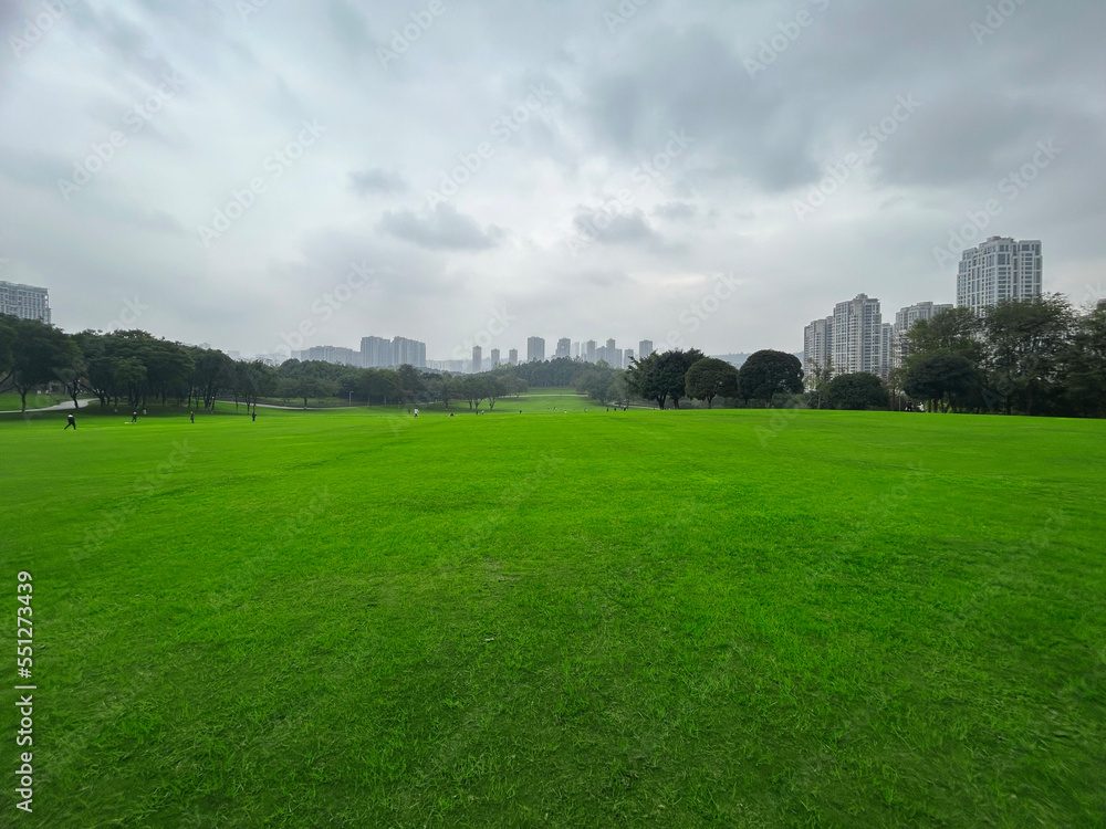 Large green grass in the city park