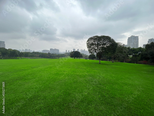 Large green grass in the city park