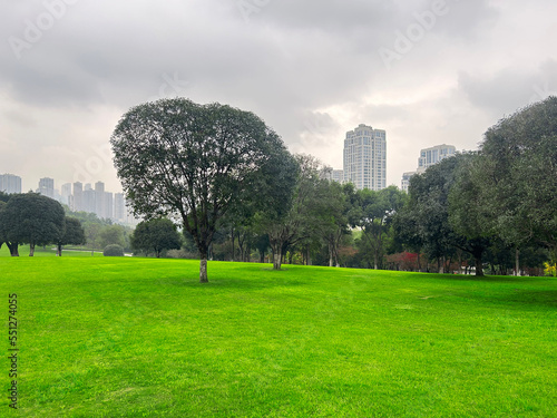 Large green grass in the city park