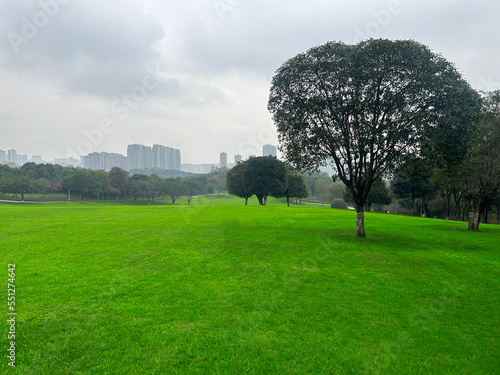 Large green grass in the city park