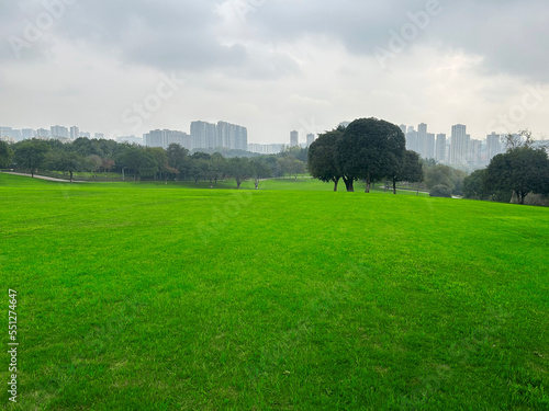 Large green grass in the city park