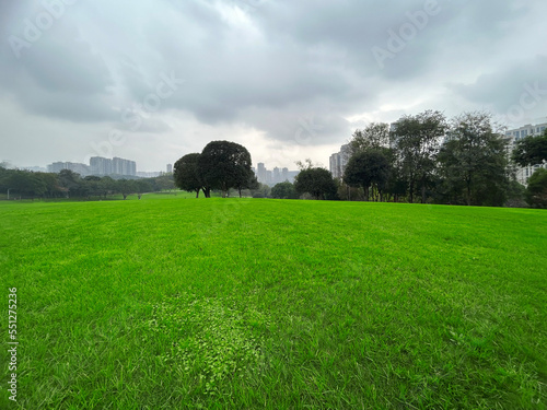 Large green grass in the city park