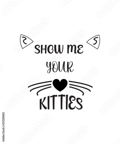 Funny Cat SVG Bundle, Cat SVG, Kitten SVG, Cat lady svg, crazy cat lady svg, cat lover svg, cats svg, kitty 