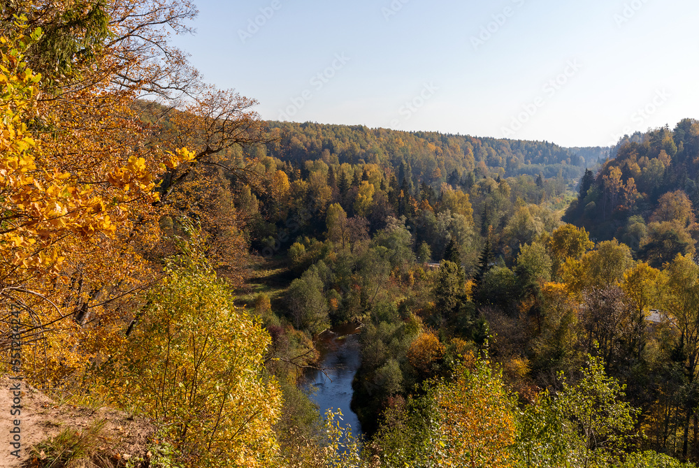 Wide view of nature with orange yellow autumn leaves and light blue sky with white clouds