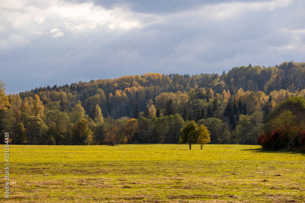 Fototapeta premium Nature view with autumn trees, green grass and sun with blue sky and gray clouds