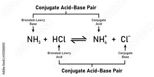bronsted-lowry acid-base reaction theory. Scientific vector illustration isolated on white background.