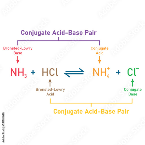 Bronsted-Lowry acid-base reaction theory. Scientific vector illustration isolated on white background.