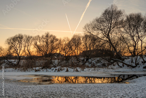 trees and grass in the frost by the river in winter. photo